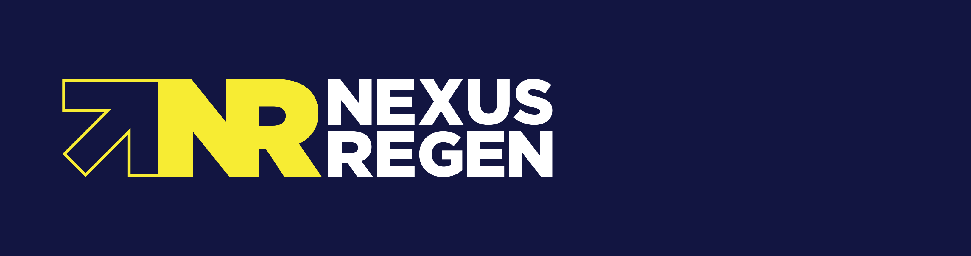 Wordmark · full colour on navy