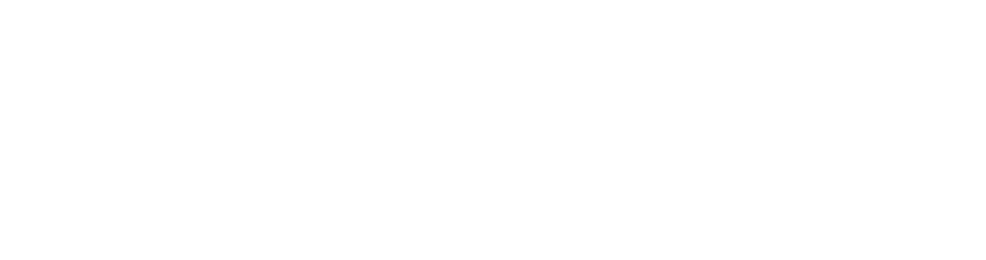 Wordmark · mono white